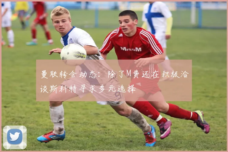 曼联转会动态：除了M费还在积极洽谈斯科特寻求多元选择